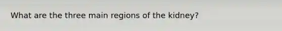 What are the three main regions of the kidney?