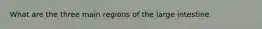 What are the three main regions of the large intestine