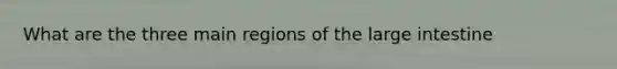 What are the three main regions of the large intestine