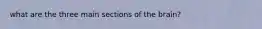 what are the three main sections of the brain?
