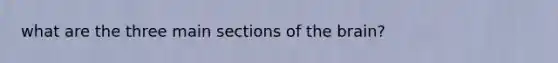 what are the three main sections of the brain?