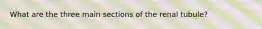 What are the three main sections of the renal tubule?