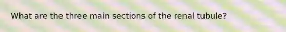 What are the three main sections of the renal tubule?