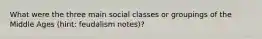 What were the three main social classes or groupings of the Middle Ages (hint: feudalism notes)?