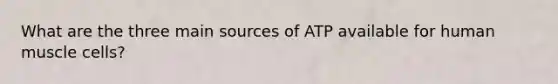 What are the three main sources of ATP available for human muscle cells?