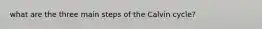 what are the three main steps of the Calvin cycle?
