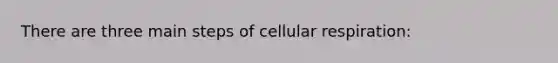 There are three main steps of cellular respiration: