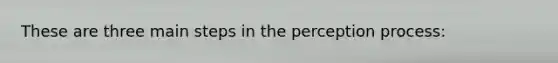 These are three main steps in the perception process: