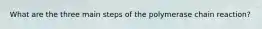 What are the three main steps of the polymerase chain reaction?