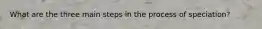 What are the three main steps in the process of speciation?