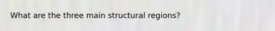 What are the three main structural regions?