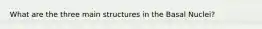 What are the three main structures in the Basal Nuclei?