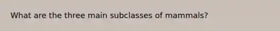 What are the three main subclasses of mammals?