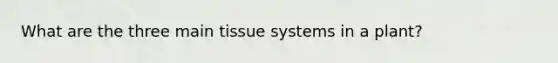 What are the three main tissue systems in a plant?