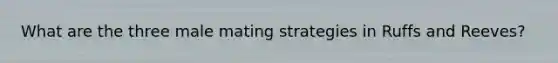 What are the three male mating strategies in Ruffs and Reeves?