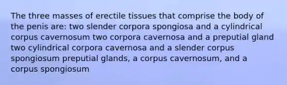 The three masses of erectile tissues that comprise the body of the penis are: two slender corpora spongiosa and a cylindrical corpus cavernosum two corpora cavernosa and a preputial gland two cylindrical corpora cavernosa and a slender corpus spongiosum preputial glands, a corpus cavernosum, and a corpus spongiosum