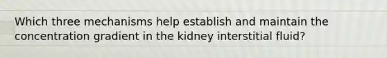 Which three mechanisms help establish and maintain the concentration gradient in the kidney interstitial fluid?