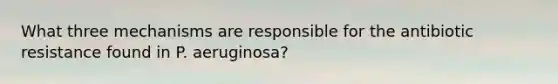 What three mechanisms are responsible for the antibiotic resistance found in P. aeruginosa?