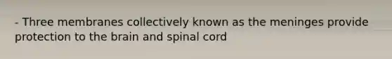 - Three membranes collectively known as the meninges provide protection to the brain and spinal cord