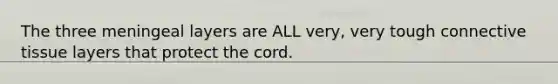 The three meningeal layers are ALL very, very tough connective tissue layers that protect the cord.