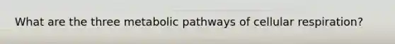 What are the three metabolic pathways of cellular respiration?