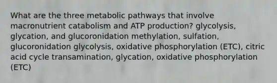 What are the three metabolic pathways that involve macronutrient catabolism and ATP production? glycolysis, glycation, and glucoronidation methylation, sulfation, glucoronidation glycolysis, oxidative phosphorylation (ETC), citric acid cycle transamination, glycation, oxidative phosphorylation (ETC)