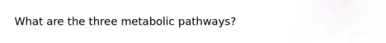 What are the three metabolic pathways?