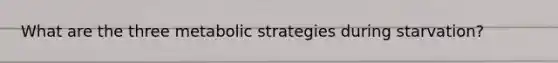 What are the three metabolic strategies during starvation?