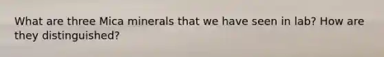 What are three Mica minerals that we have seen in lab? How are they distinguished?