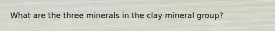 What are the three minerals in the clay mineral group?