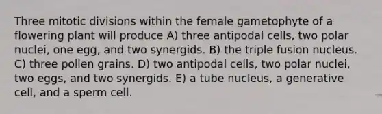 Three mitotic divisions within the female gametophyte of a flowering plant will produce A) three antipodal cells, two polar nuclei, one egg, and two synergids. B) the triple fusion nucleus. C) three pollen grains. D) two antipodal cells, two polar nuclei, two eggs, and two synergids. E) a tube nucleus, a generative cell, and a sperm cell.