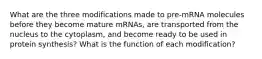 What are the three modifications made to pre-mRNA molecules before they become mature mRNAs, are transported from the nucleus to the cytoplasm, and become ready to be used in protein synthesis? What is the function of each modification?