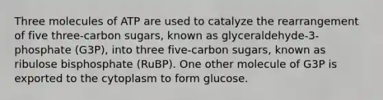 Three molecules of ATP are used to catalyze the rearrangement of five three-carbon sugars, known as glyceraldehyde-3-phosphate (G3P), into three five-carbon sugars, known as ribulose bisphosphate (RuBP). One other molecule of G3P is exported to the cytoplasm to form glucose.