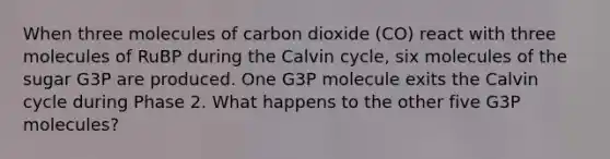 When three molecules of carbon dioxide (CO) react with three molecules of RuBP during the Calvin cycle, six molecules of the sugar G3P are produced. One G3P molecule exits the Calvin cycle during Phase 2. What happens to the other five G3P molecules?