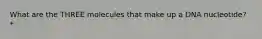 What are the THREE molecules that make up a DNA nucleotide? *