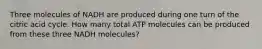 Three molecules of NADH are produced during one turn of the citric acid cycle. How many total ATP molecules can be produced from these three NADH molecules?