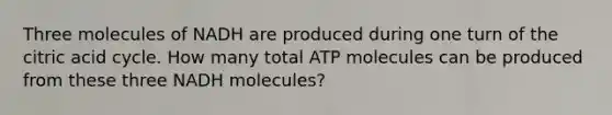 Three molecules of NADH are produced during one turn of the citric acid cycle. How many total ATP molecules can be produced from these three NADH molecules?