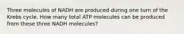 Three molecules of NADH are produced during one turn of the Krebs cycle. How many total ATP molecules can be produced from these three NADH molecules?