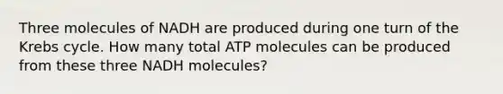 Three molecules of NADH are produced during one turn of the Krebs cycle. How many total ATP molecules can be produced from these three NADH molecules?