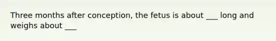 Three months after conception, the fetus is about ___ long and weighs about ___