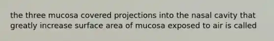 the three mucosa covered projections into the nasal cavity that greatly increase surface area of mucosa exposed to air is called