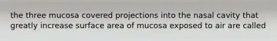 the three mucosa covered projections into the nasal cavity that greatly increase surface area of mucosa exposed to air are called