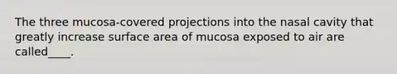 The three mucosa-covered projections into the nasal cavity that greatly increase surface area of mucosa exposed to air are called____.