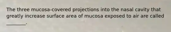 The three mucosa-covered projections into the nasal cavity that greatly increase surface area of mucosa exposed to air are called ________.