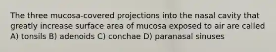 The three mucosa-covered projections into the nasal cavity that greatly increase <a href='https://www.questionai.com/knowledge/kEtsSAPENL-surface-area' class='anchor-knowledge'>surface area</a> of mucosa exposed to air are called A) tonsils B) adenoids C) conchae D) paranasal sinuses