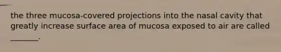 the three mucosa-covered projections into the nasal cavity that greatly increase surface area of mucosa exposed to air are called _______.