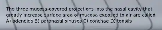 The three mucosa-covered projections into the nasal cavity that greatly increase surface area of mucosa exposed to air are called A) adenoids B) paranasal sinuses C) conchae D) tonsils