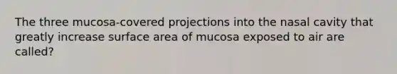 The three mucosa-covered projections into the nasal cavity that greatly increase surface area of mucosa exposed to air are called?