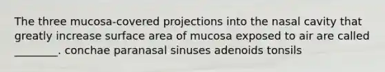 The three mucosa-covered projections into the nasal cavity that greatly increase surface area of mucosa exposed to air are called ________. conchae paranasal sinuses adenoids tonsils