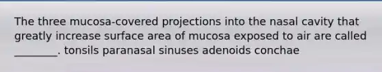 The three mucosa-covered projections into the nasal cavity that greatly increase surface area of mucosa exposed to air are called ________. tonsils paranasal sinuses adenoids conchae